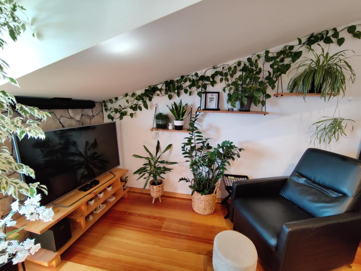 Apartment Smile *